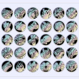 Load image into Gallery viewer, Hand In UK✅Pokémon TCG S-Chinese CSV9C Stellar Crystal Coin Set 1 Pack